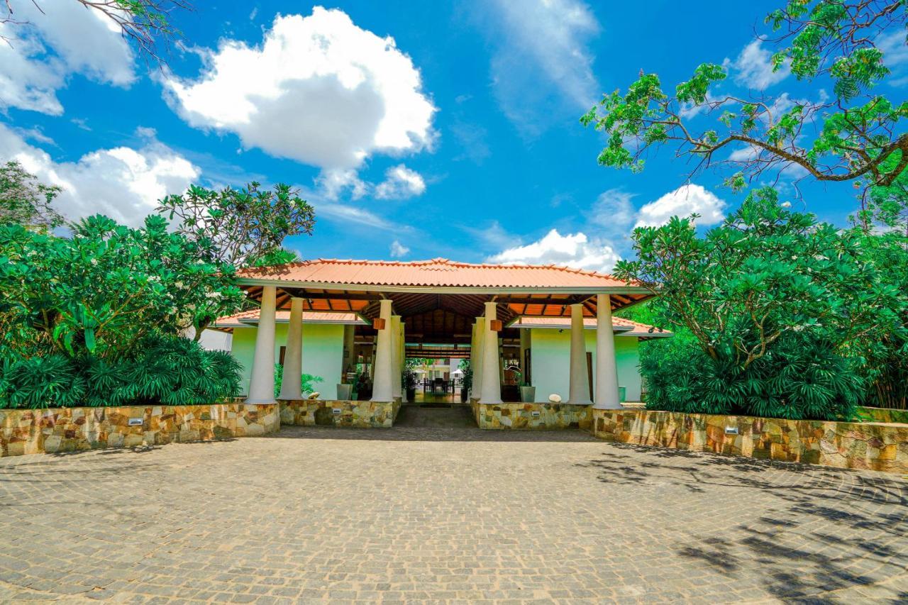 Hotel Tamarind Tree Tissamaharama Kültér fotó