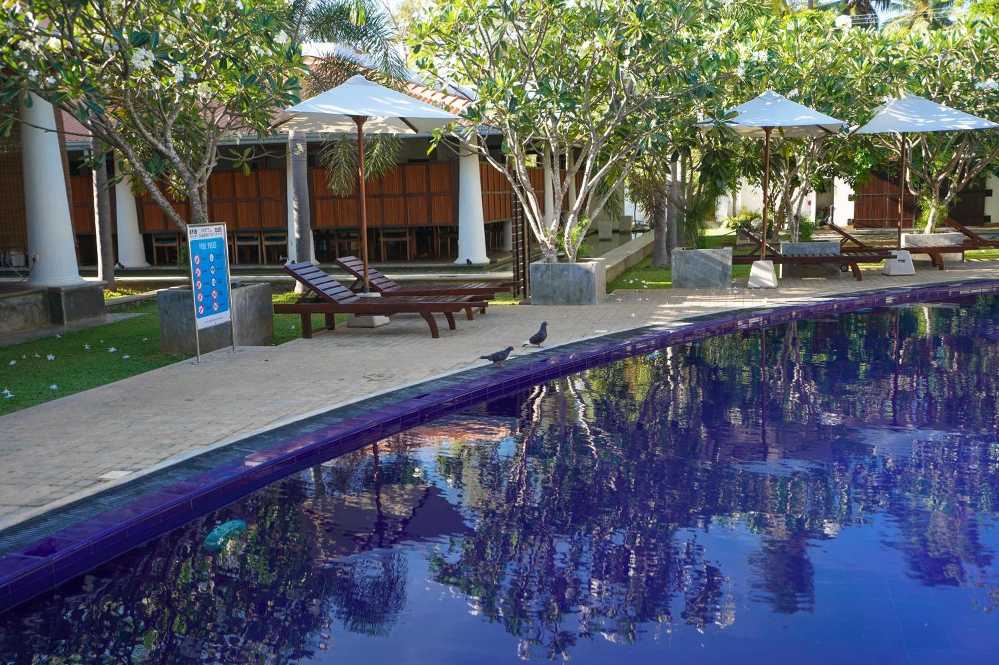 Hotel Tamarind Tree Tissamaharama Kültér fotó